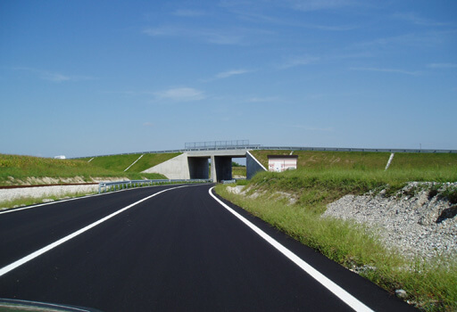 Works for the development of Ponte Rosso industrial area